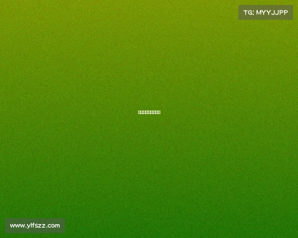 河南武林风最新比赛